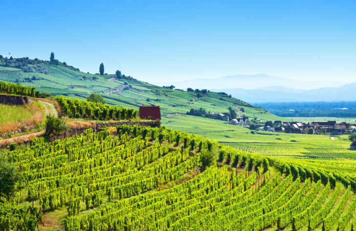 Campsites in Alsace, France