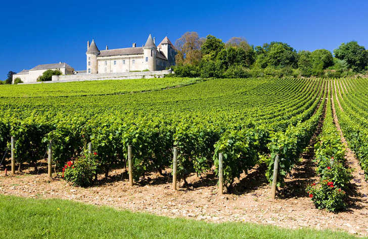 Pitch Only Campsites in Burgundy, France