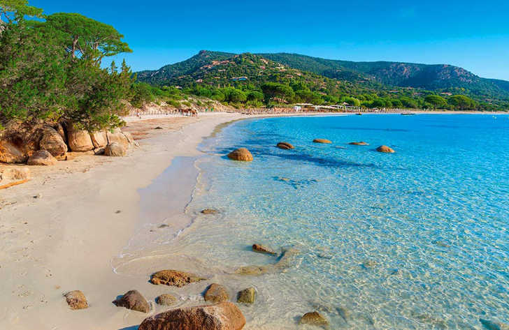 Camping Cupulatta Porto Vecchio Corsica Go Camp France