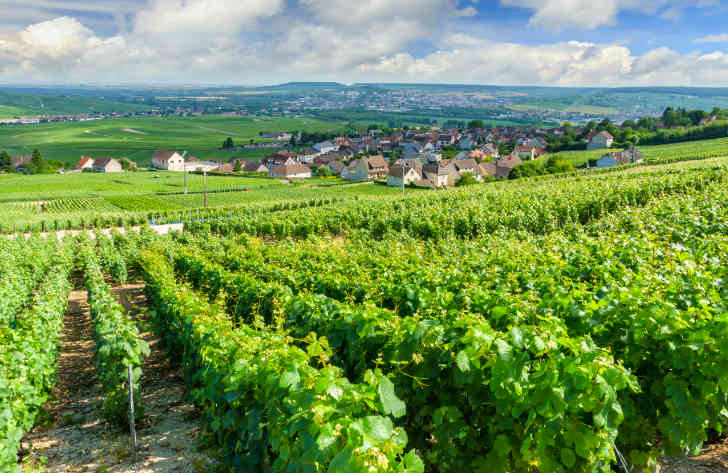 Campsites in Champagne-Ardenne, France