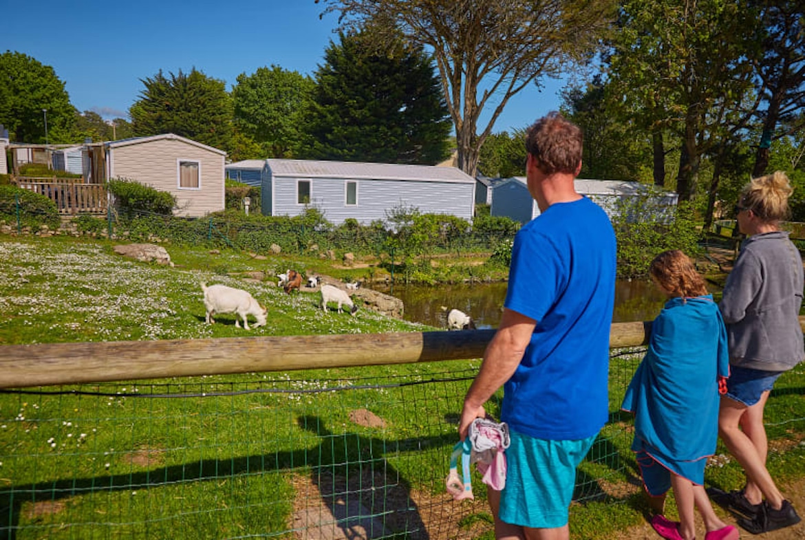 La Grande Metairie Mini Farm with Sheep