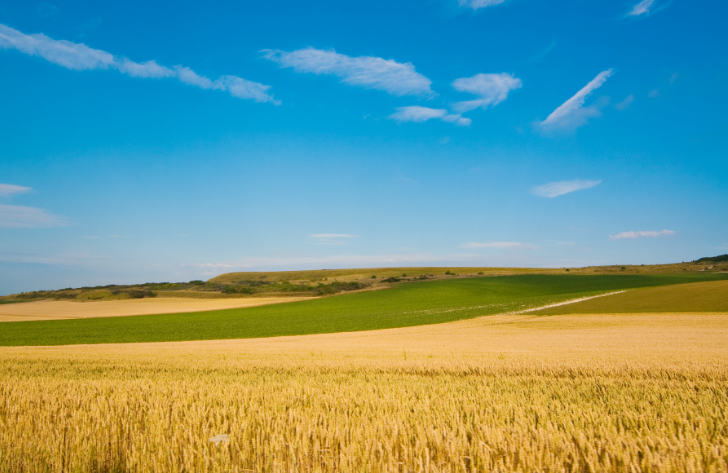 Campsites in Nord-pas-de-Calais, France