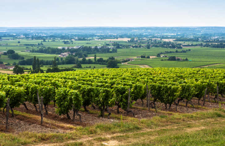 Campsites in Nouvelle-Aquitaine, France