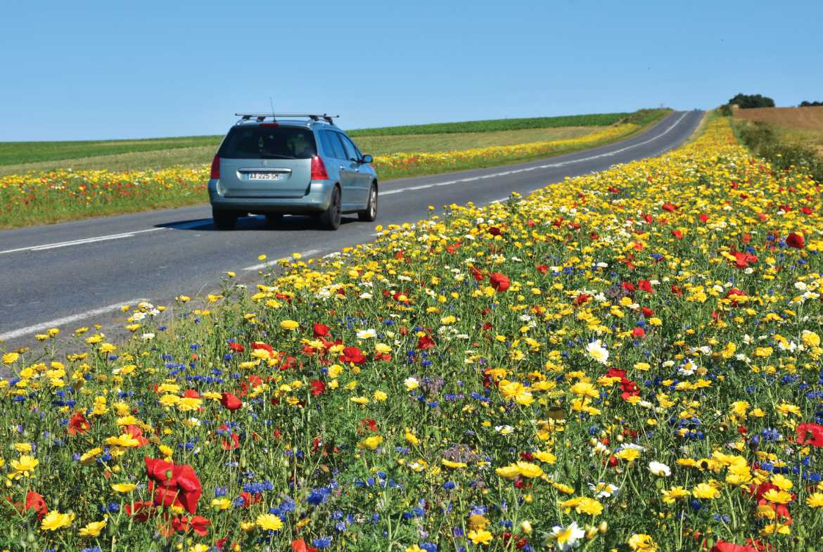 Picardy Scenic Landscapes