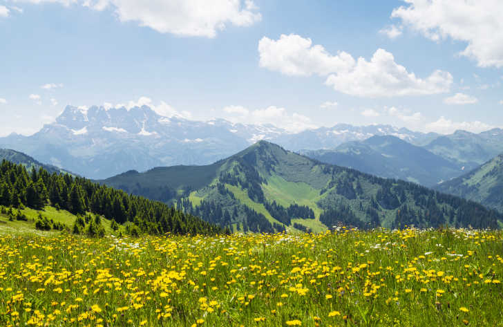Campsites in Rhone-Alpes, France
