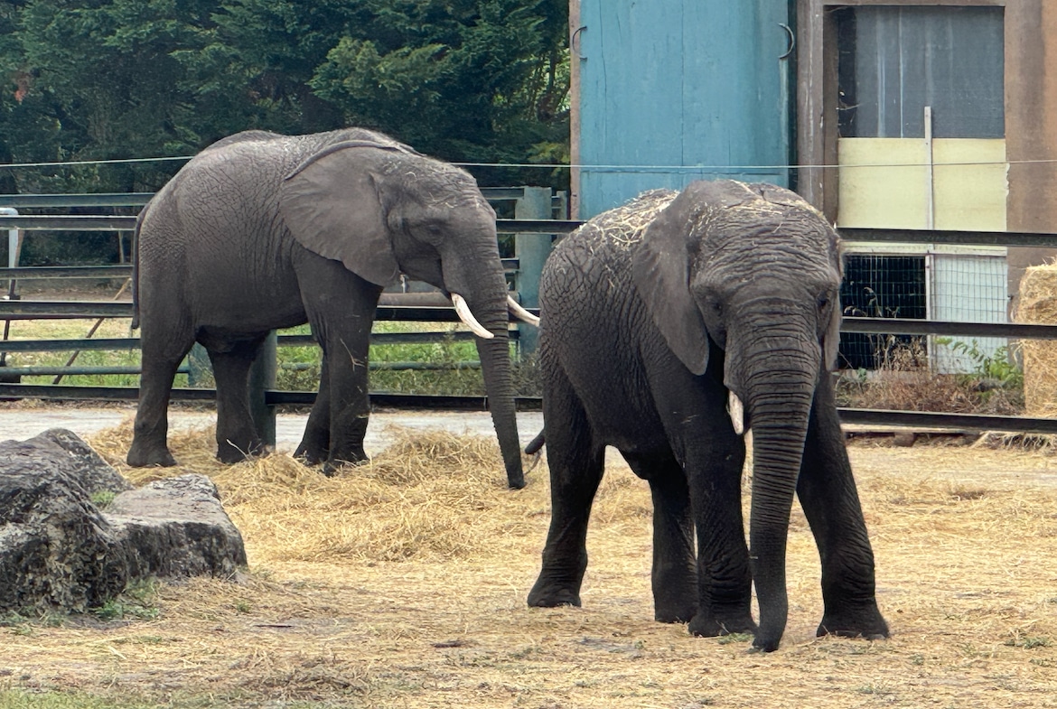Zoo du Bassin d'Arcachon